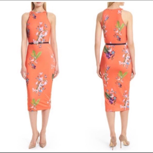 ted baker tropical oasis dress